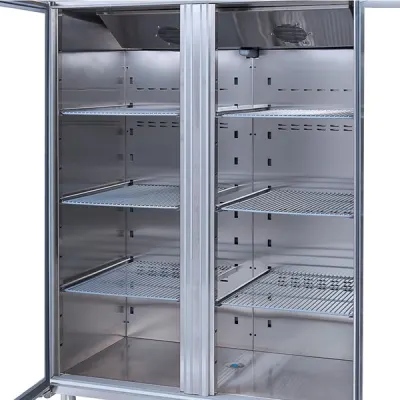 Gast DTCB1200 Dikey Tip 2 Cam Kapılı Snack Buzdolabı