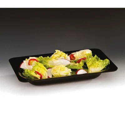 Zicco Zcp 298 Polikarbonat Dikdörtgen Model Teşhir Tabak Siyah 40x26x6,5 Cm